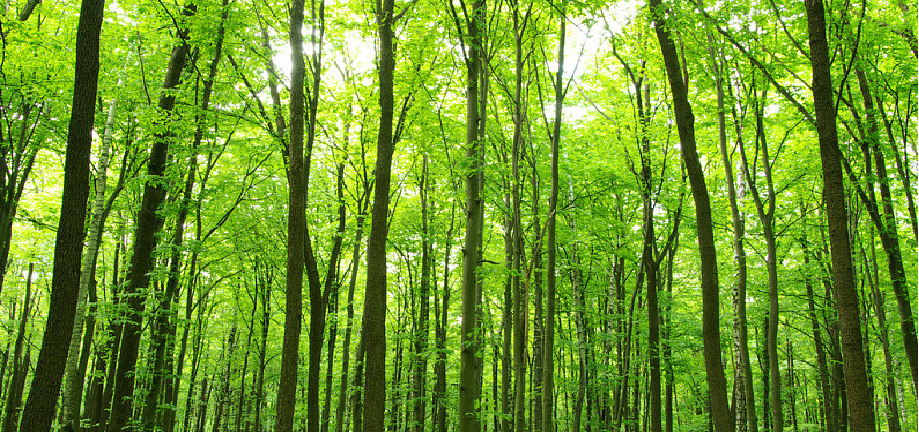 asiagame(中国)asiagaming